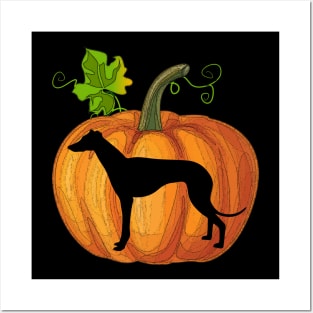 Greyhound in pumpkin Posters and Art